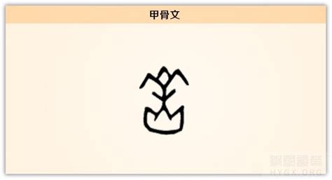 岳字|岳《汉字字源》